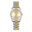 Lee Cooper LC08212.210 women's analog watch featuring a round silver case and gold dial.
