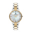 Polo BP3297C.230 Stainless Steel Watch for Women - Zamana.pk