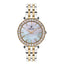Polo BP3340C.220 Stainless Steel Watch for Women - Zamana.pk