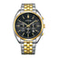 Citizen AN8214-55E men’s chronograph watch with black dial, two-tone silver and gold stainless steel bracelet, quartz movement, and 42mm round case.