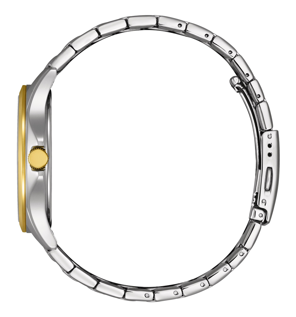 Citizen BF2026-89A Quartz Men Watch