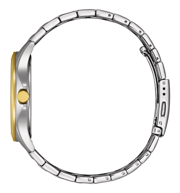 Citizen BF2026-89A Quartz Men Watch