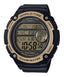 Grey Dial Mens Digital Casual Quartz Casio Watch Youth AE - 3000W - 9A - Zamana.pk