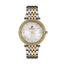 Polo BP3183C.220 Stainless Steel Watch for Women - Zamana.pk