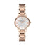 Polo BP3235X.420 Stainless Steel Watch for Women - Zamana.pk
