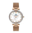 Polo - BP3257C.420 - Ladies Stainless Steel Watch - Zamana.pk