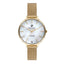 Polo BP3305X.120 Stainless Steel Watch for Women - Zamana.pk