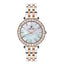 Polo BP3340C.520 Stainless Steel Watch for Women - Zamana.pk